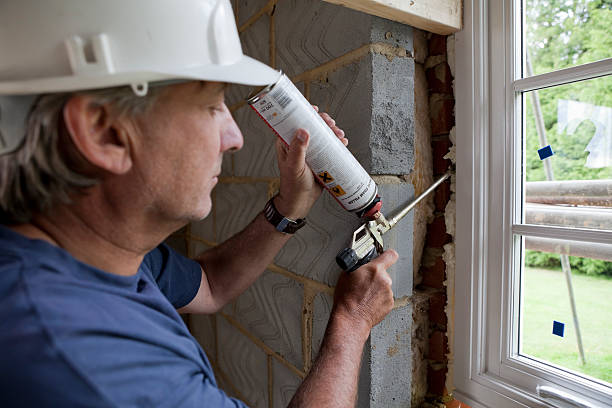 Best Specialized Insulation Services in Sappington, MO