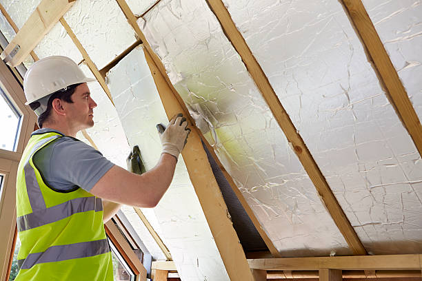Best DIY Insulation Kits and Guidance in Sappington, MO